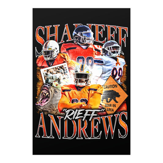 ANDREWS 24"x36" POSTER